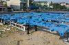 mooc-xuong-45feet-shishenghang - ảnh nhỏ  1